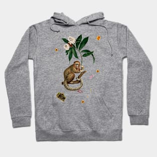 Monkey World- Amber-Ella Hoodie